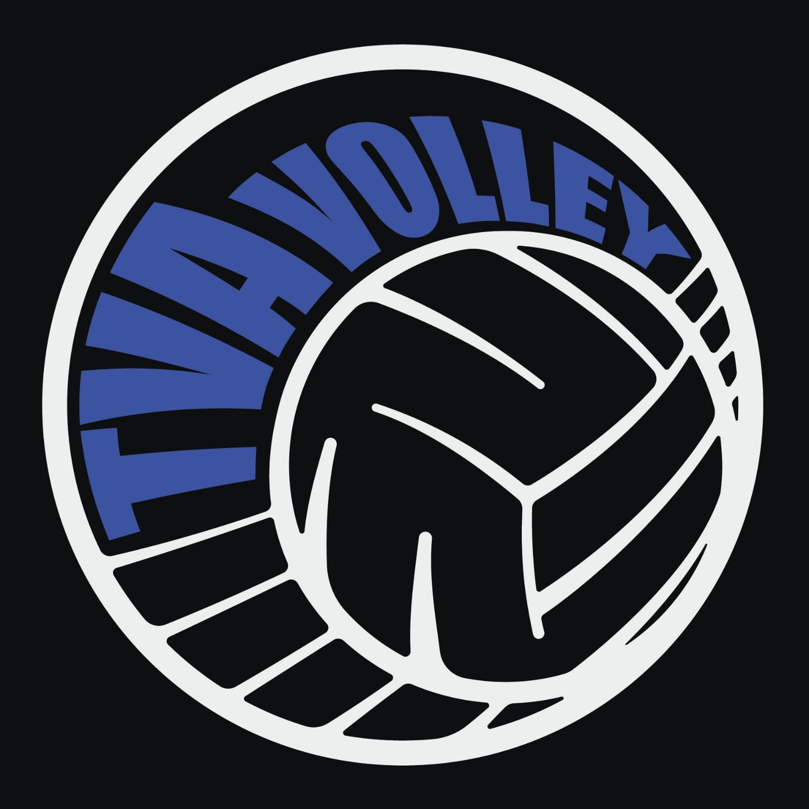 logo volleyball arlesheim